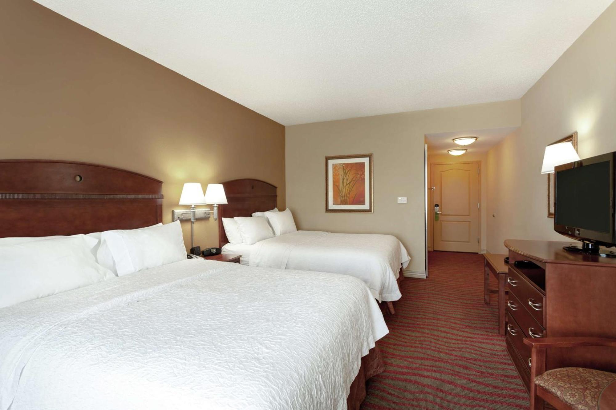 Hampton Inn & Suites Port Richey Buitenkant foto