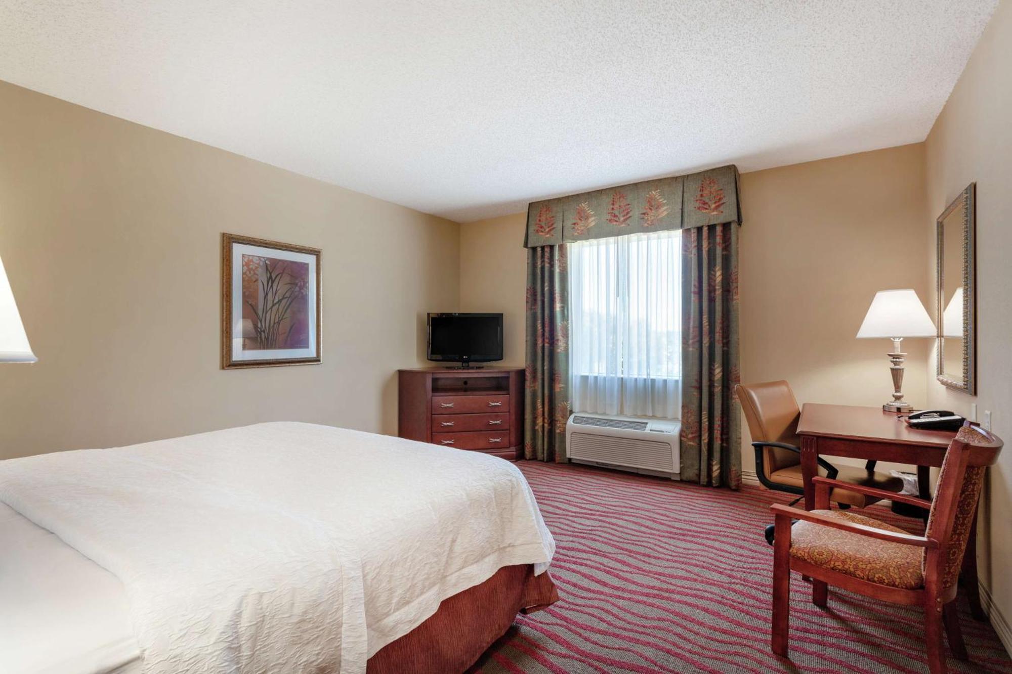 Hampton Inn & Suites Port Richey Buitenkant foto